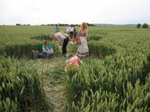 Being attuned Crop Circles UK