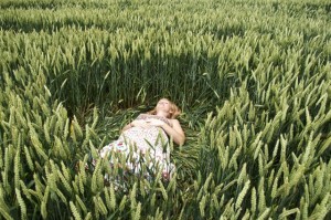 Enjoying the harmonious energy - Crop Circles Tour UK